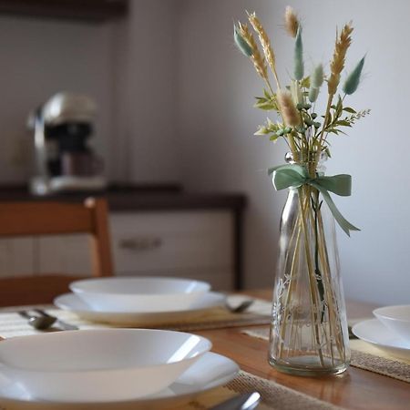 Ketal Apartment ブラショフ エクステリア 写真
