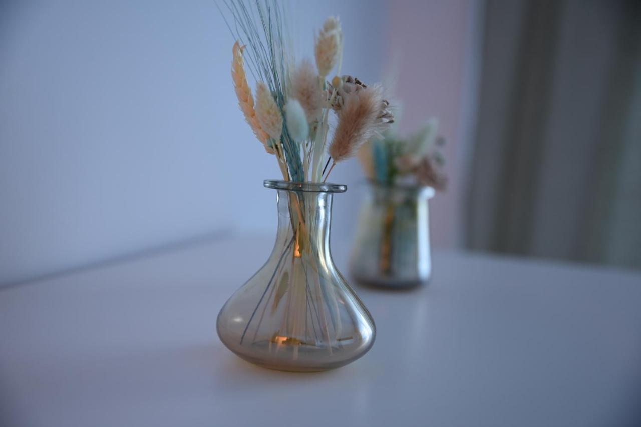 Ketal Apartment ブラショフ エクステリア 写真